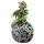 Elements Drache keltische LED Kugel