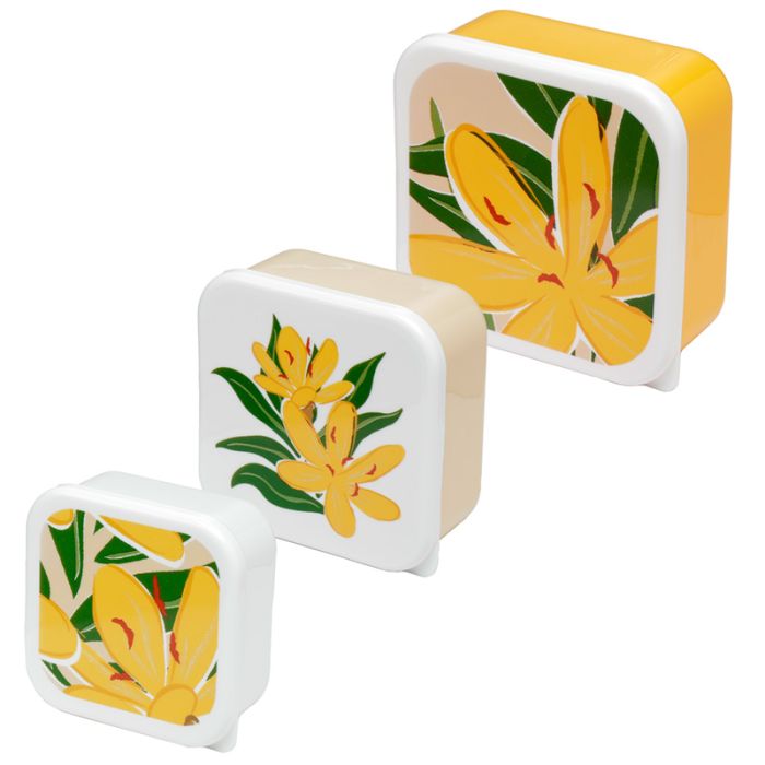 Florens Hesperantha Lunchboxen Brotdosen 3er Set M/L/XL