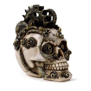 Steampunk Totenkopf mit Zahnrädern und Federn Steampunk Totenkopf mit Zahnrädern und Federn